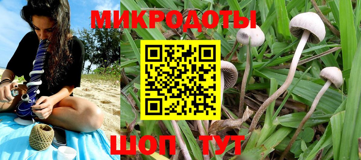 что такое наркотик  Вход с VPN  Донской  Галлюциногенные грибы Cubensis 