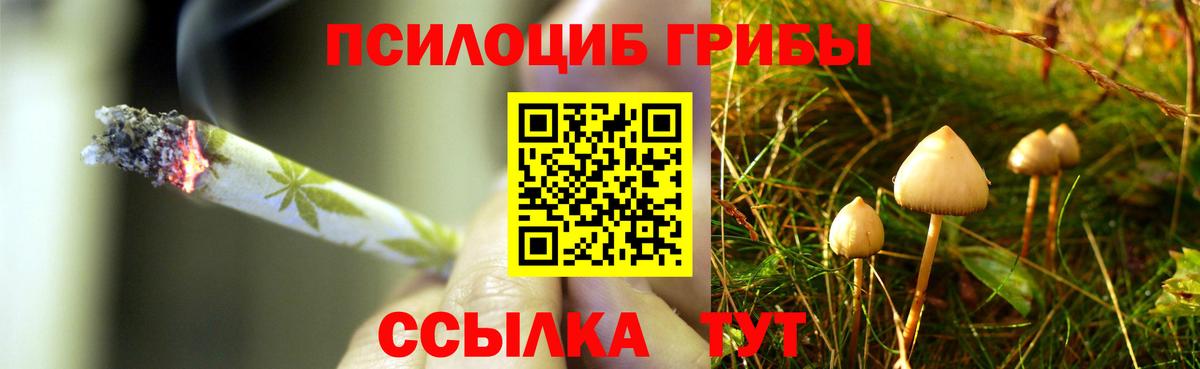 Псилоцибиновые грибы Magic Shrooms Донской