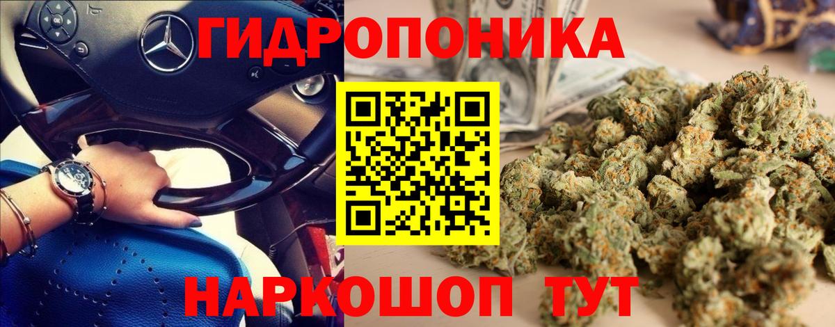 Бошки Шишки индика Донской